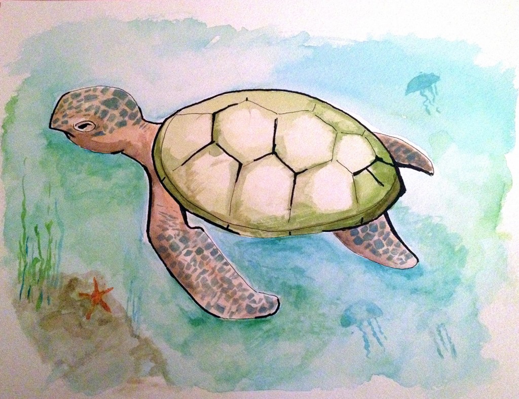 sea_turtle